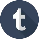 Tumblr icon