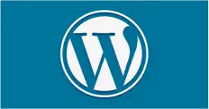 WordPress icon